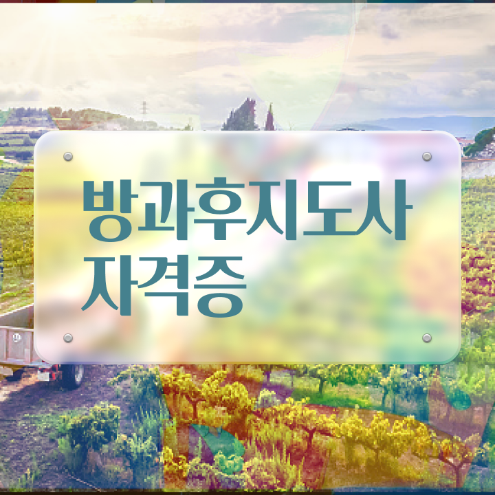  노후 자격증 추천 , 방과후지도사 온라인 과정 100%로 빠르게 성공한 후기