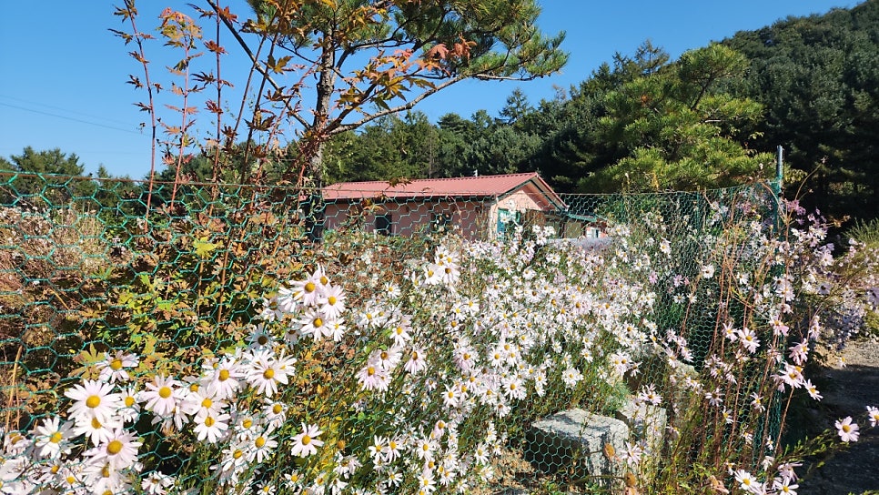 매지임도 사진 2