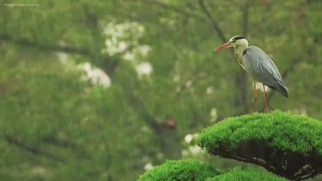  부산퍼스널컬러가성비 , 독학으로 퍼스널컬러컨설턴트자격증 합격한 후기 살펴보기