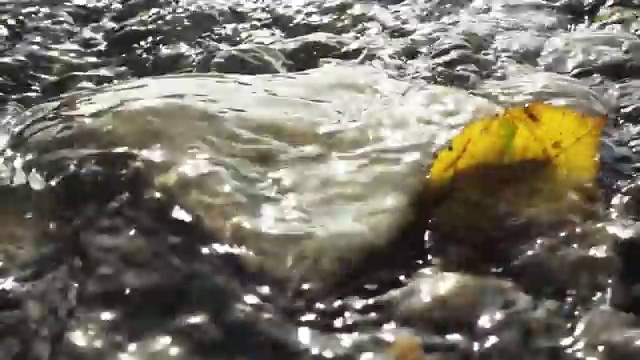  복합 건물관리사 , 집합건물관리사자격증 동영상으로 준비 과정