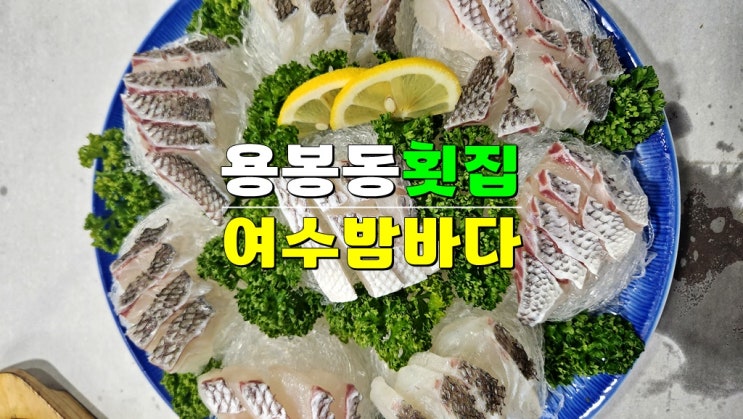 광주 북구 맛집 · 용봉동횟집 여수밤바다 · 소문난 참돔 유비끼 광주 북구 맛집 · 용봉동횟집 여수밤바다 · 소문난 참돔 유비끼