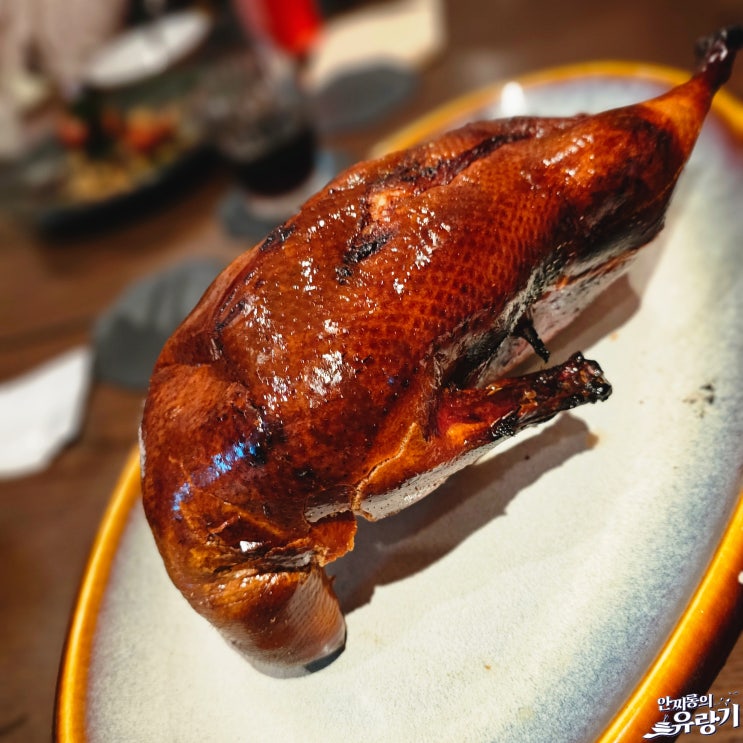  강남 딤섬과 북경오리 압구정 하카 모던한 중식당