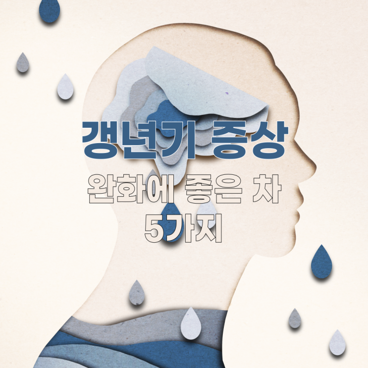  갱년기 증상 완화에 좋은 차 5가지 추천