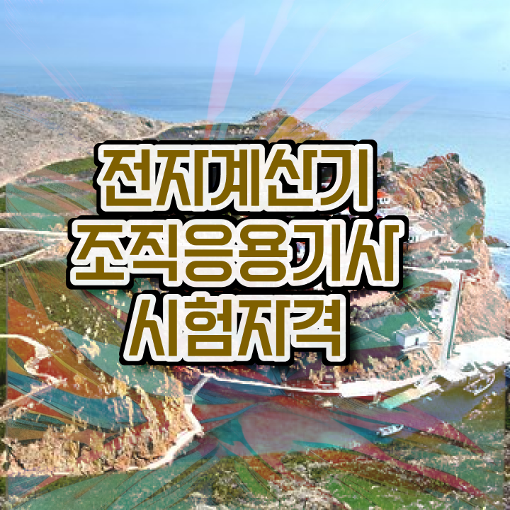  전자계산기조직응용기사 시험 조건 전자계산기조직응용기사 응시자격 온라인으로 간단하게 준비한 노하우