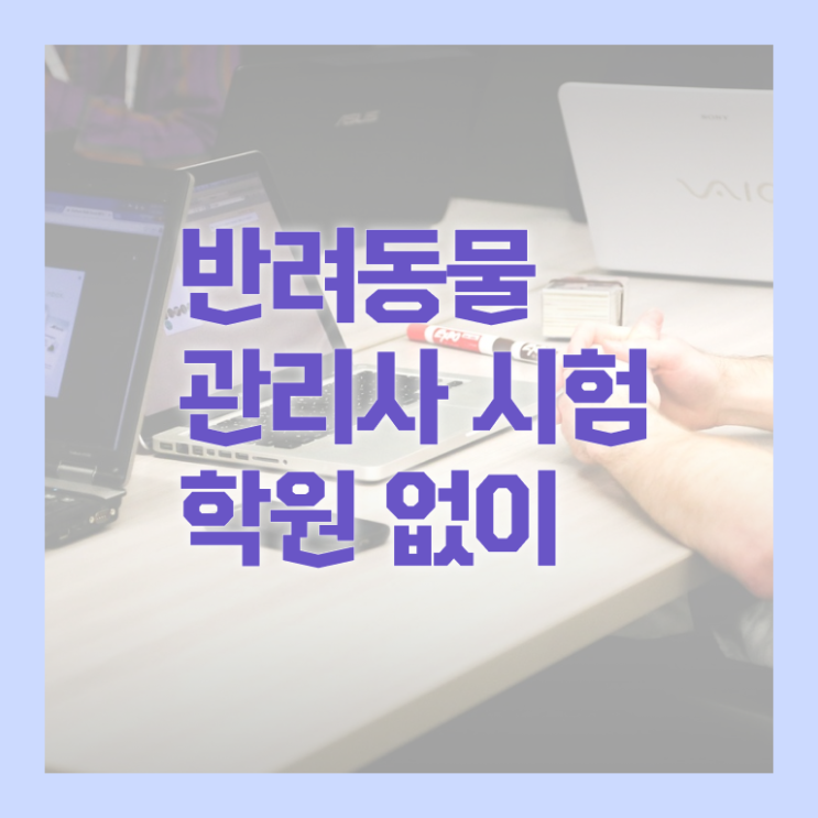  반려동물목욕관리사 , 반려동물관리사 자격증 15일 만에 취득한 방법 소개합니다