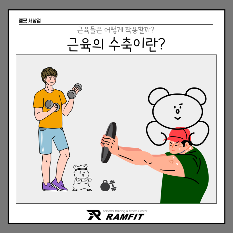  [서창헬스장]근육은 어떻게 작용할까? 근육의 수축?[램핏][양산헬스장][서창PT][양산피티]