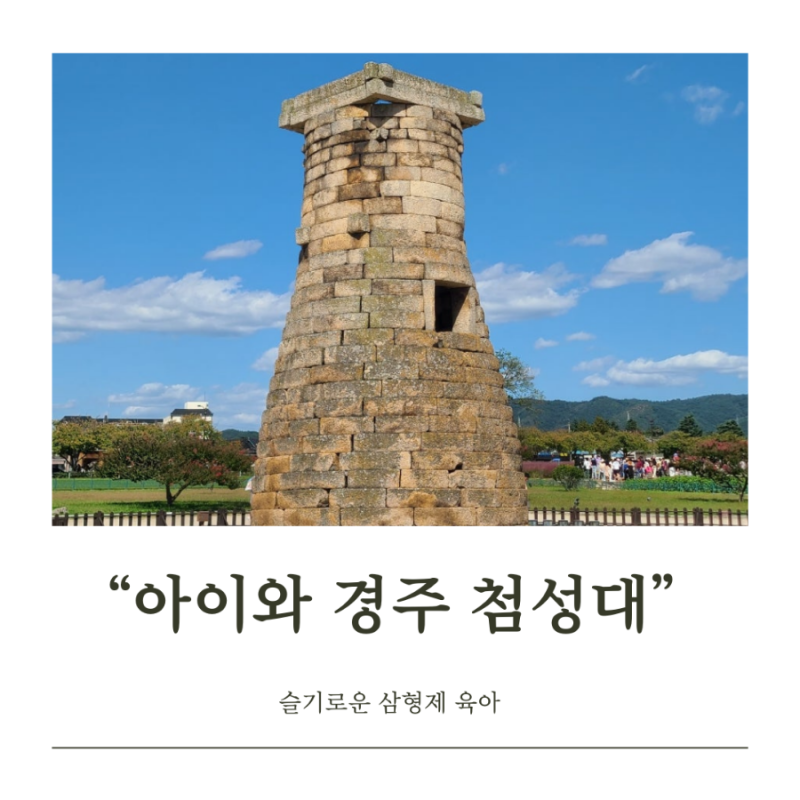경주 첨성대 핑크뮬리 초등 아이와 경주시티투어 (비단벌레차 예약 사이트 주차장 야간 입장....