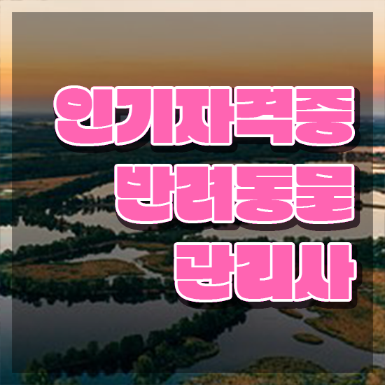  반려동물복지관리사 , 반려동물관리사 자격증 합격정보 필수 정보