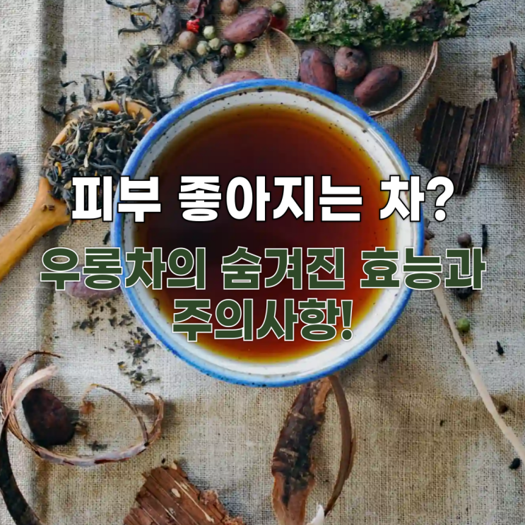  피부 좋아지는 차? 우롱차(오룡차)의 숨겨진 효능과 주의사항!