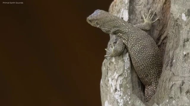  반려동물식품관리사 , 반려동물관리사 자격증 시험준비 정리해봤어요