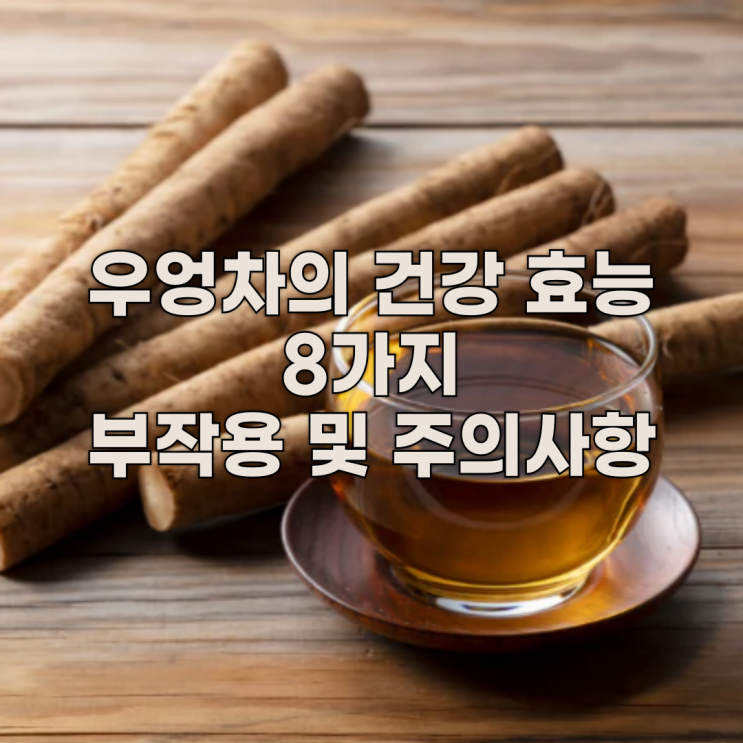  우엉차의 건강 효능 8가지와 부작용 및 주의사항