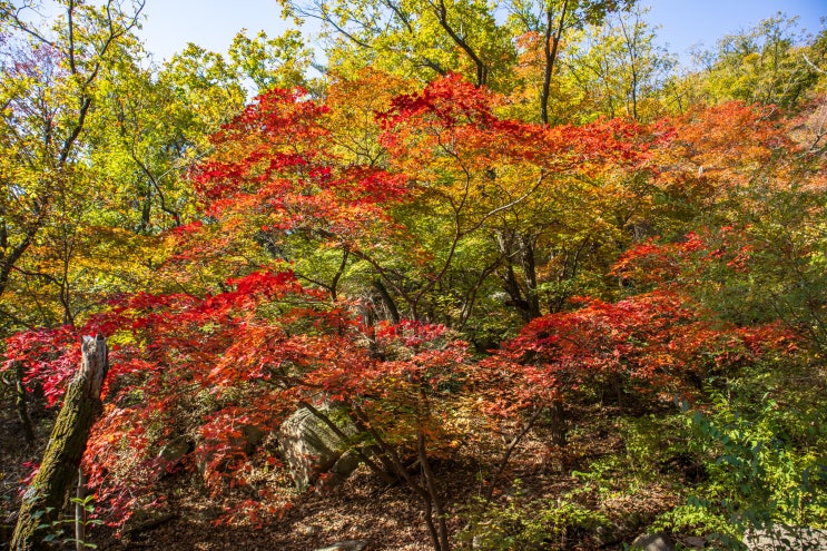  북한산 단풍 초보 등산 코스 난이도 무료 주차장