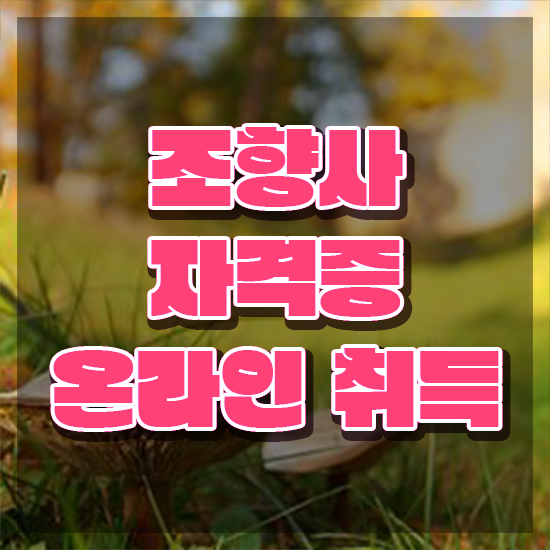  아로마테라피 자격증 , 상세한 조향사자격증 취득 노하우 콕콕 짚어드립니다