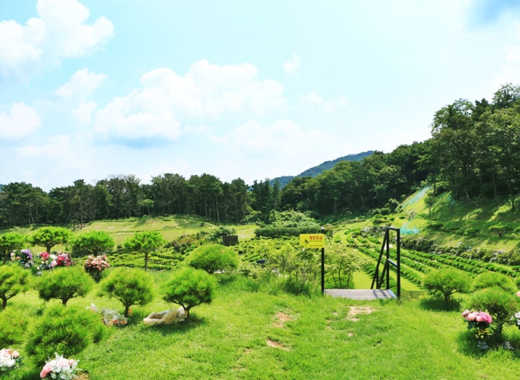  용인수목장 종류와 비용 알아보아요