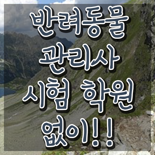  반려동물 생활관리사 , 반려동물관리사 자격증 응시자격 없이 취득했던 후기 및 전망