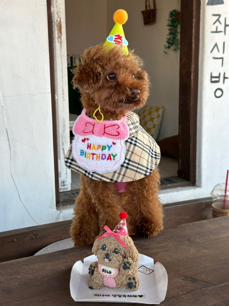  [블챌] 미나야 생일축하해! 에 내 일상을 좀 많이 더 한
