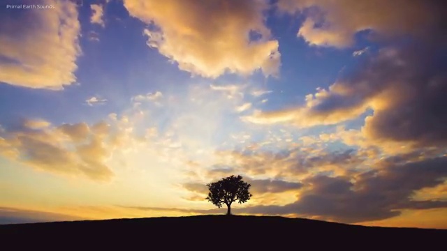  부동산공부책추천 , 동영상으로 부동산권리분석사 취득방법