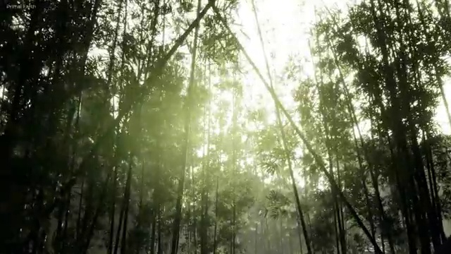  요양병원관리사 무료 교육 , 요양병원관리사 자격증 단기간에 학습한 후기 및 향후 전망