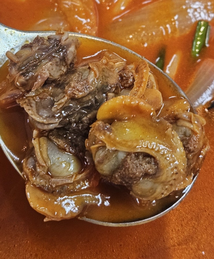  [목포 맛집] 해장하러 매번 가는 '형제 꼬막 짬뽕'