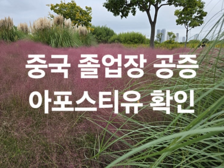  중국 졸업장 공증 / 아포스티유