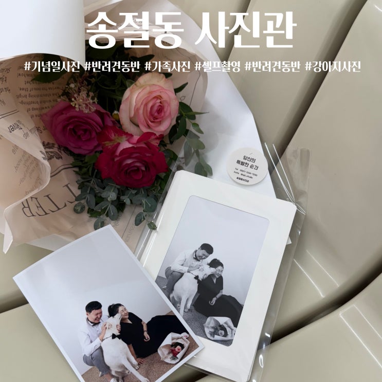  송절동사진관 강아지 반려견 동반 가족사진 기념일 셀프촬영