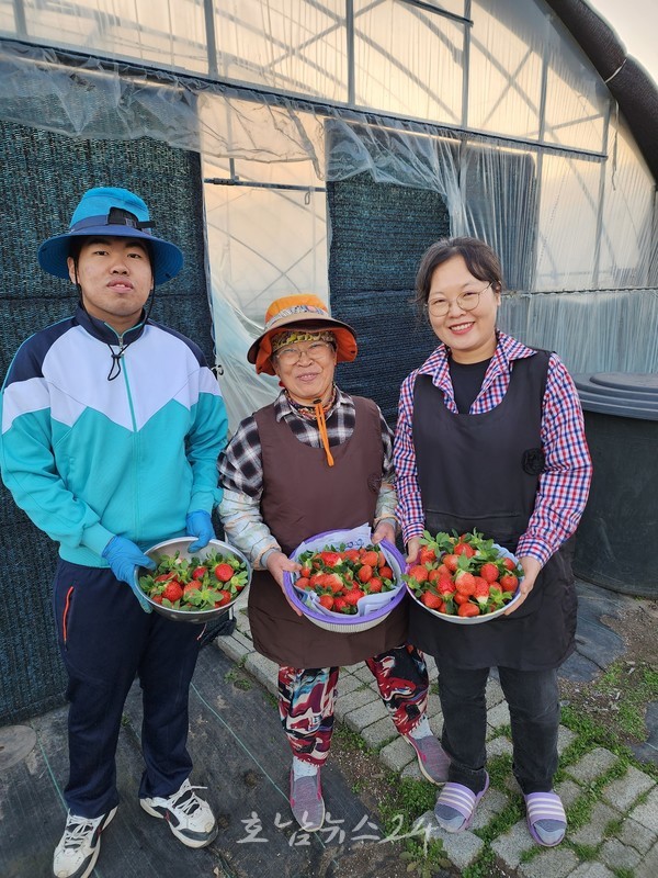  도시 떠난 3代, 팍팍한 교대근무 대신 선택한 농업으로 강진에서 딸기처럼 달콤한 삶 누려