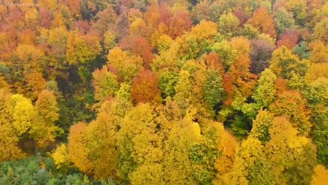  조경 기사학원 , 조경기사 취득자격 온라인 과정으로 단기간에 완료한 과정