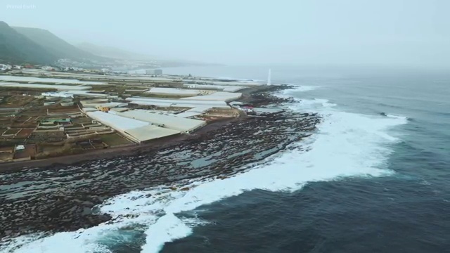  1달 만에 퍼스널컬러컨설턴트 합격 비법
