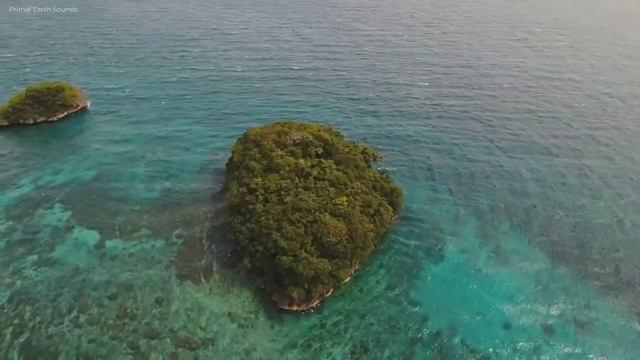  안전교육지도사 1급 , 안전지도사 자격증 1급,2급 동시에 합격한 비법 제가 알려드릴게요