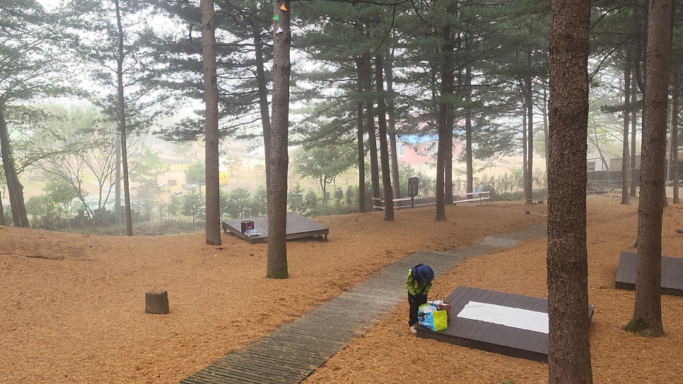 매지임도 사진 5