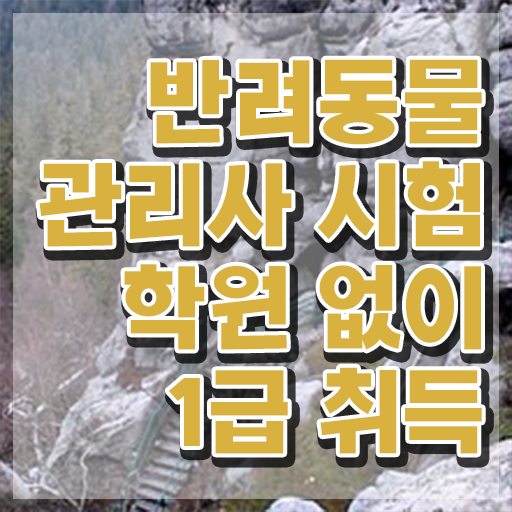  반려동물목욕관리사 , 반려동물관리사 자격증 20일 만에 준비한 방법 알아볼까요