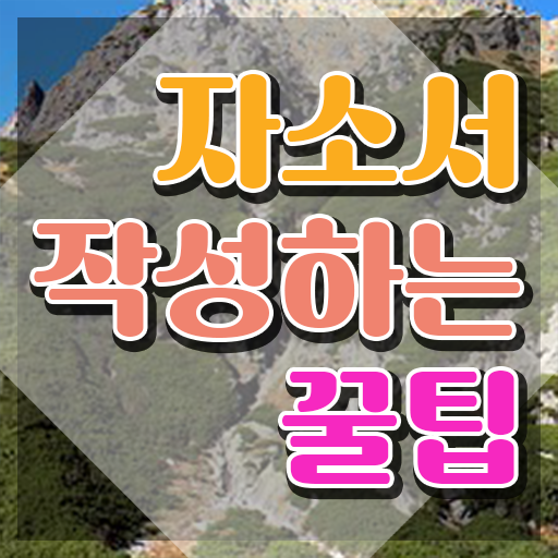  간호사 자소서 , 자기소개서지도사 자격증 응시자격 없이 취득한 과정 및 이후 전망