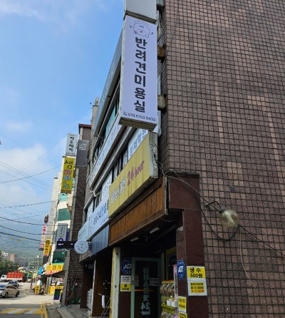 사진 2