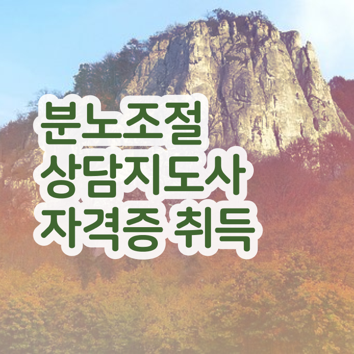  분노 조절장애원인 단기간에 분노조절상담지도사 취득 정보 전격분석