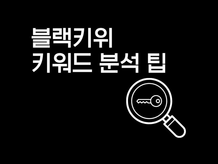  블로그 초보도 상위 노출 가능한 블랙키위 키워드 분석 꿀팁 공개