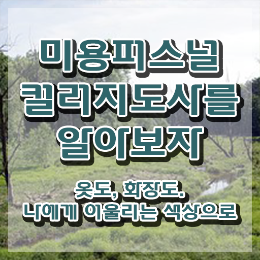  미용퍼스널컬러지도사 , 미용퍼스널컬러지도사 자격증 준비한 방법 확인하기