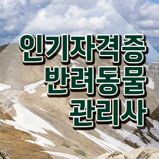  반려동물관리사자격증취업 , 반려동물관리사 자격증 2주 만에 취득했던 후기 최단기간 취득한 과정