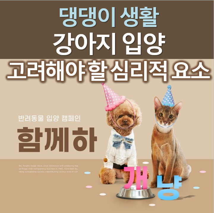 강아지를 입양할 때 고려해야 할 심리적 요소