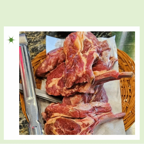 문정역 모임 마봉양꼬치 문정점 재방문 남편돈산 양갈비