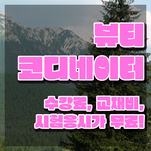  스타일리스트학원추천 , 뷰티코디네이터 자격증 쉽고 간편하게 합격한 전략 콕콕 짚어드립니다