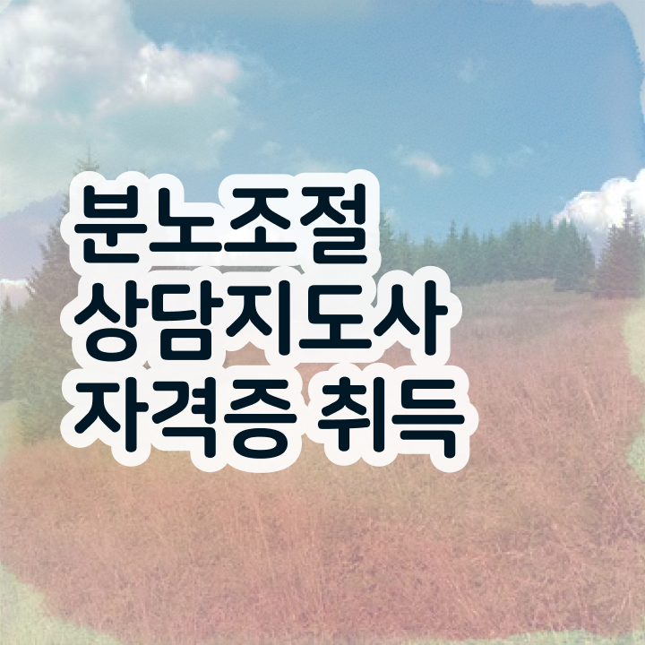  초등 분노 조절장애 분노조절상담지도사 온라인 교육으로 준비 과정 필수 정보