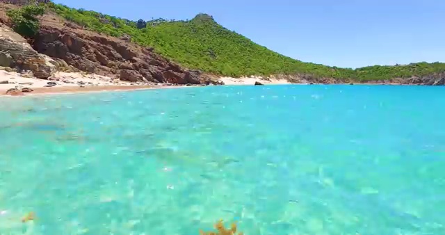  학생 자격증 추천 , 관련학위 없어도 부동산권리분석사 취득할 수 있어요