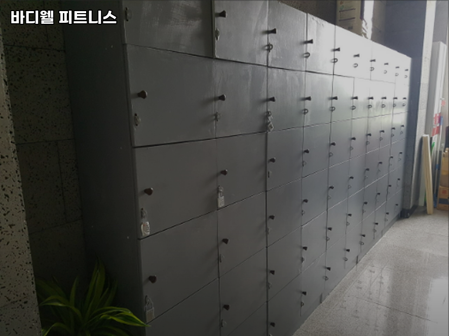 바디웰피트니스 사진 5