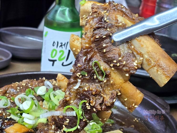  갈마동 치킨집 포미, 신성동 맛집 귀성본가, 신성동중국집 포청천식당, 석교동 파스타 이레다이닝, 대전프랑스문화원 앙트르뽀, 헤레디움 마르쿠스 뤼페르츠