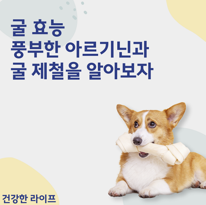  굴 효능, 풍부한 아르기닌과 굴 제철을 알아보자