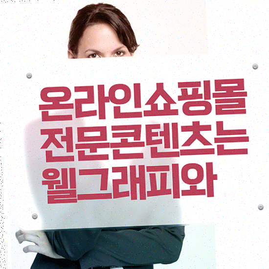  홈페이지 제작 비용 , 고급형 스타트업 포트폴리오 제공