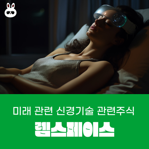  신경 기술 관련주 주식 렘스페이스의 미래 명료몽