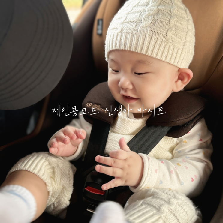  신생아카시트 시기 및 올바른 선택 기준, 제인콩코드 아이코닉R 솔직 후기