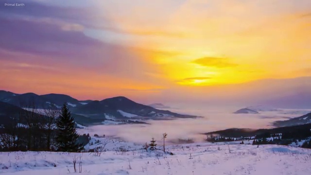  동물보건사 취업 반려견운동지도사자격증 상세한 취득방법
