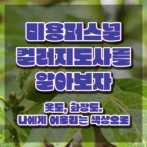  미용퍼스널컬러 , 미용퍼스널컬러지도사 자격증 준비한 방법 핵심 정보 정리